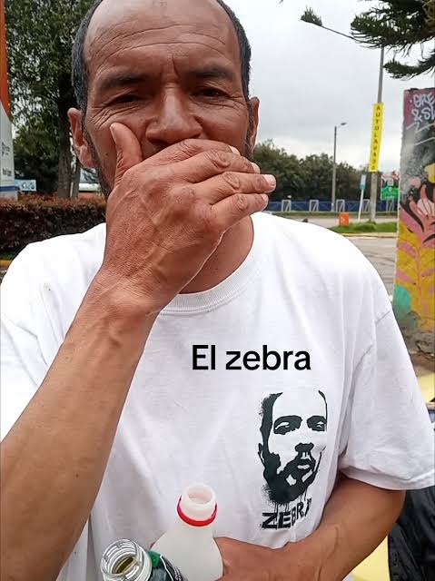 Zebra